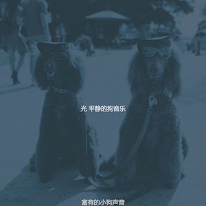 抚慰的小狗回忆