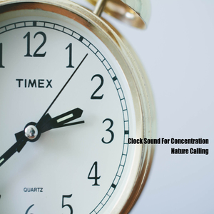 집중력에 좋은 시계 초침소리