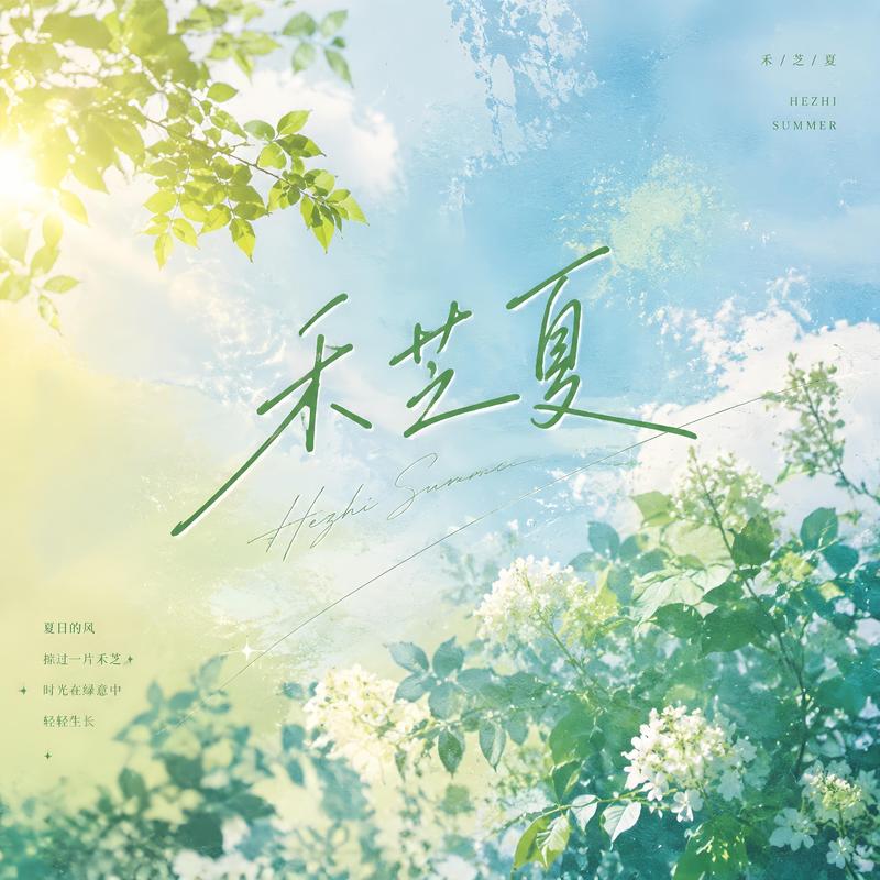 泪海封面