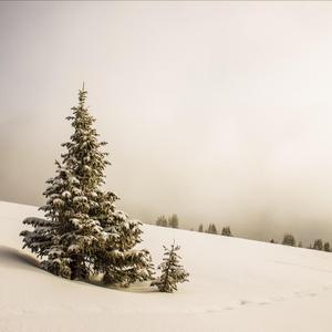 A Spaceman Came Travelling