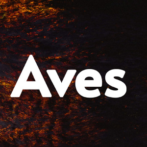 Aves