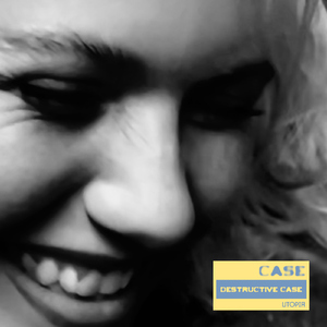 Destructive Case (Radio Edit)