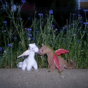 偶尔梦见你(午夜番)