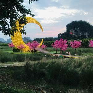 凌云志/teen spirit