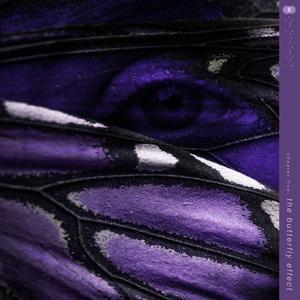 the butterfly effect