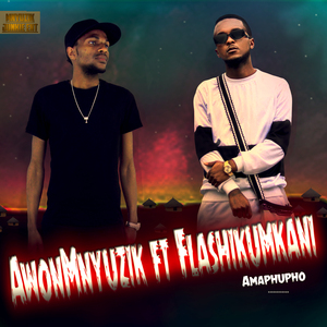 Amaphupho