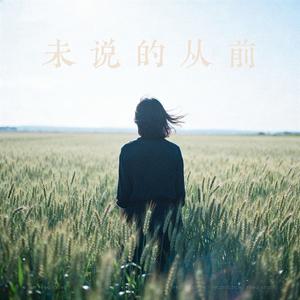 未说的从前