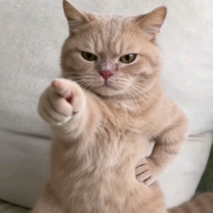 【上她一辈子】