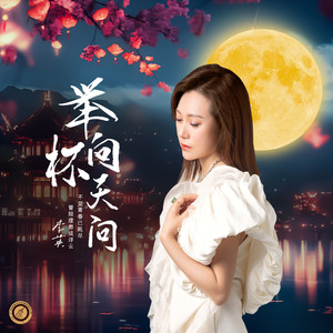 举杯向天问 (DJ版伴奏)