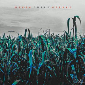 Natura Sine Fine - Op. 2093a