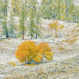 the melancholy of autumn