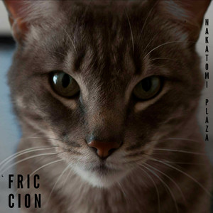 Friccion