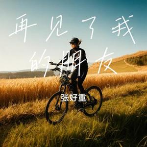 再见了我的朋友
