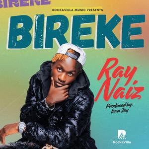 BirekeV2