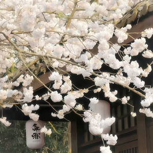 对不起，是我想要的太多