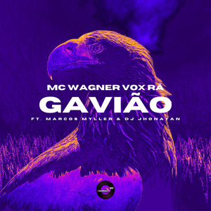 Gavião