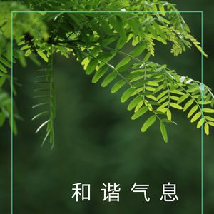 宁静音轨 (可循環序列)