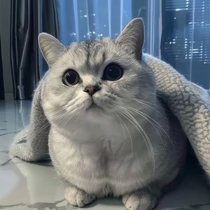 人总是这样 心知肚明还有所期待