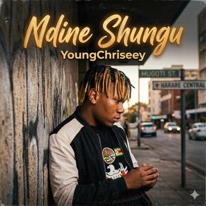 Ndine Shungu