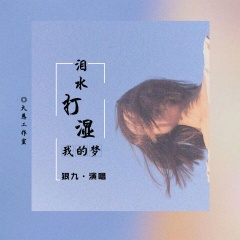 泪水打湿我的梦