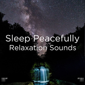 수면을위한 바다의 소리