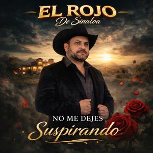 No Me Dejes Suspirando