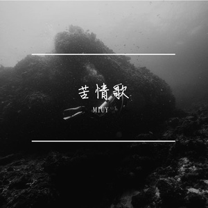 从你的全世界路过