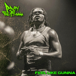 Feel Like Gunna