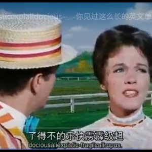 后AI时代的生命回响