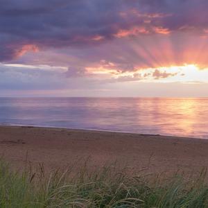 如果我喝醉时说过什么
