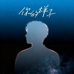 你的样子
