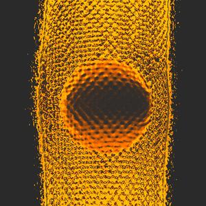 Cell