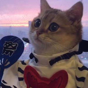 我不是你的宋冬野