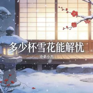 多少杯雪花能解忧