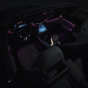 Wish I Could