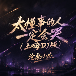 太懂事的人一定会哭(土嗨DJ版)
