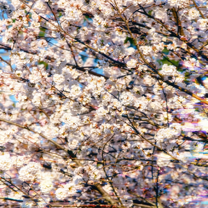 Refraction (Instrumental)