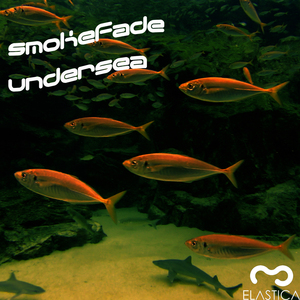 Bass Jump (Original mix)