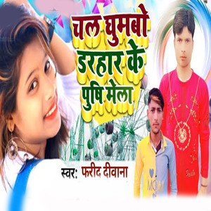 chal ghumabo darahar ke pushi mela