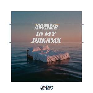 Awake In My Dreams