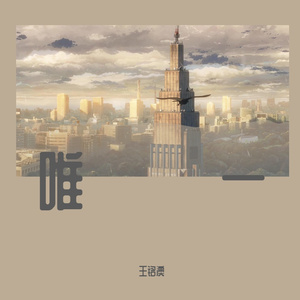 唯一0.8