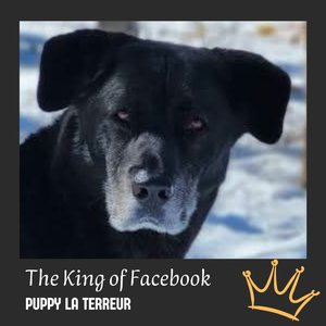 The King of Facebook