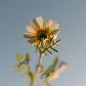 "飞驰人生"&励志Type Pop beat