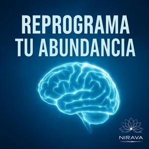 Reprograma tu abundancia
