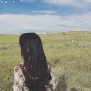 东海之岸(春光灿烂猪八戒电视剧插曲)