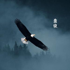 盘旋