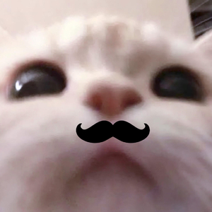 偷吻我要亲死你