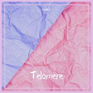 Telomere