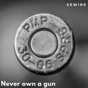 Never own a gun
