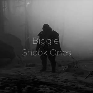 Biggie Shook Ones